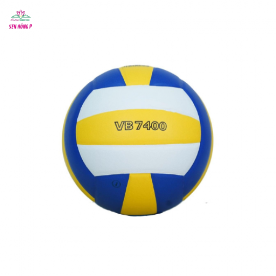 Bóng Chuyền Da Thi Đấu Thăng Long VB7400 - Hàng Chính Hãng