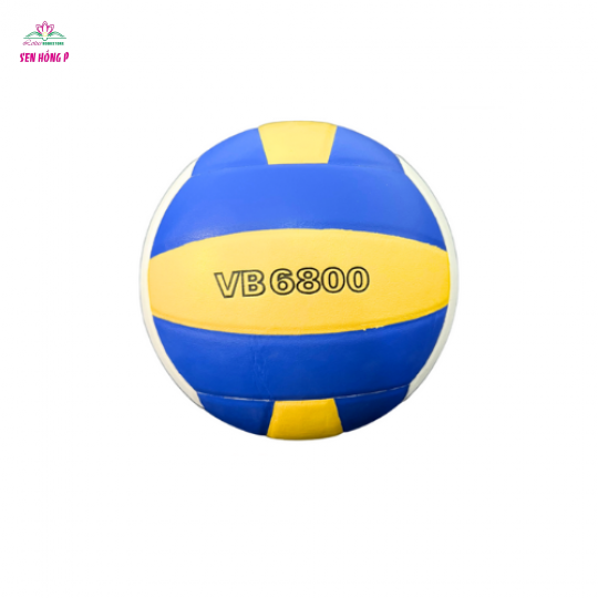 Bóng Chuyền Da Thi Đấu Thăng Long VB6800 - Hàng Chính Hãng