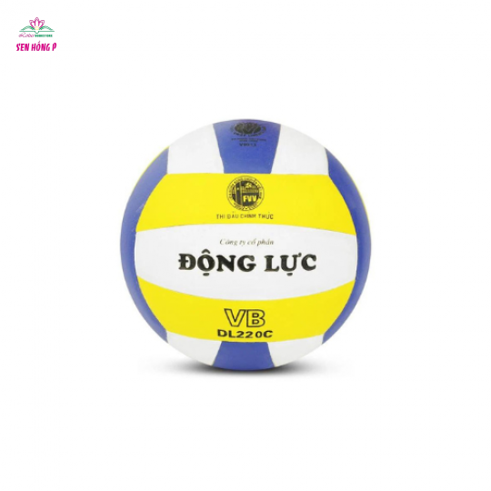BÓNG CHUYỀN DL 220C