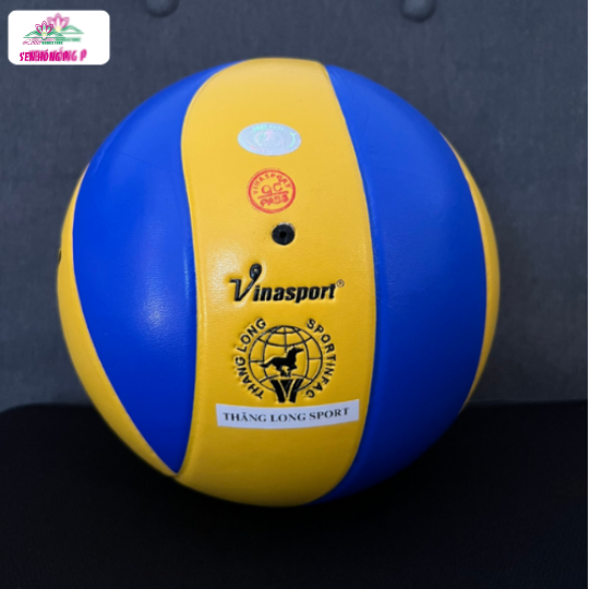 Bóng Chuyền Da Thi Đấu Thăng Long VB5030 - Hàng Chính Hãng
