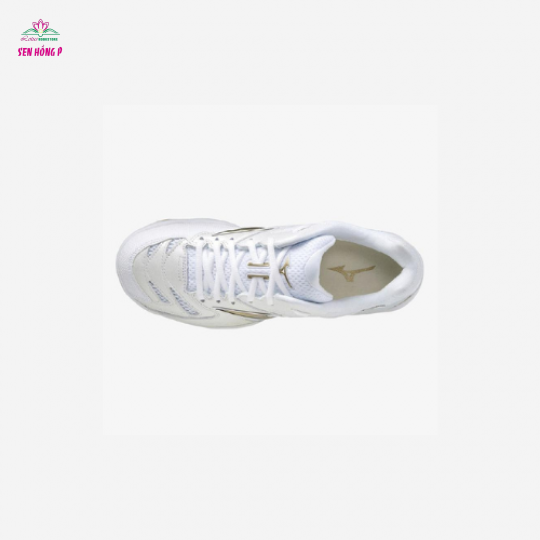 GIÀY CẦU LÔNG MIZUNO WAVE FANG PRO (NHIỀU MÀU)