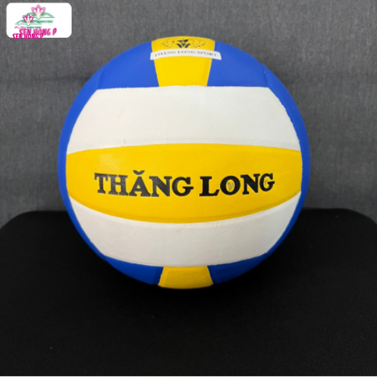 Bóng Chuyền Da Thi Đấu Thăng Long VB6800 - Hàng Chính Hãng