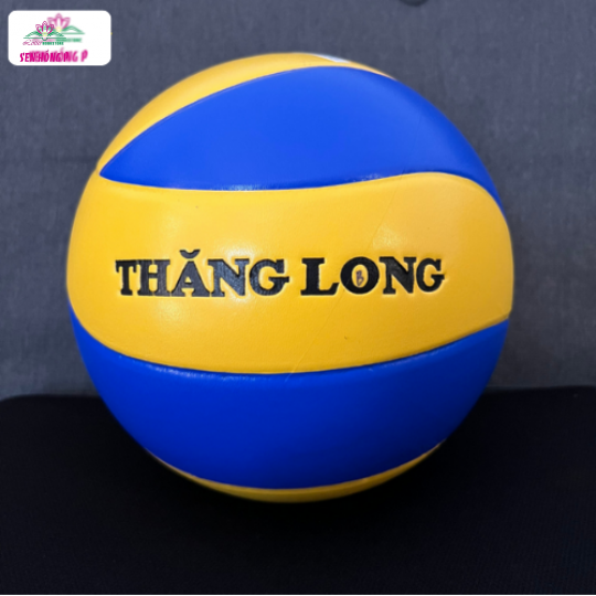 Bóng Chuyền Da Thi Đấu Thăng Long VB5030 - Hàng Chính Hãng
