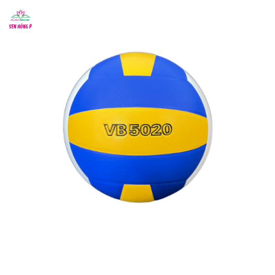 Bóng Chuyền Da Thi Đấu Thăng Long VB5020 - Hàng Chính Hãng