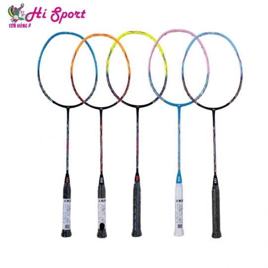 Vợt Cầu Lông IXE Dragon Warrior 660