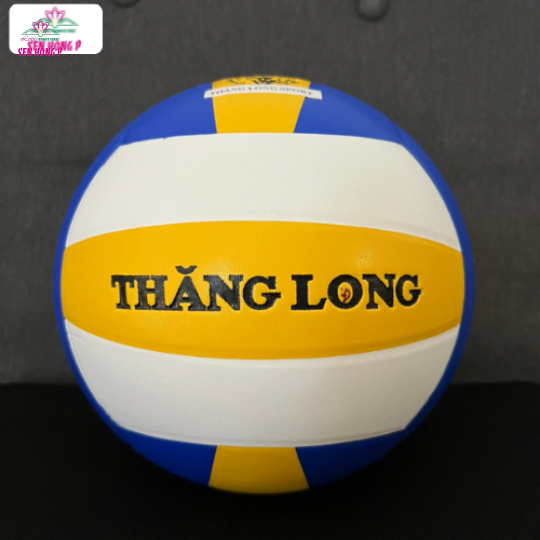Bóng Chuyền Da Thi Đấu Thăng Long VB5020 - Hàng Chính Hãng