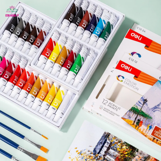 Màu Nước Acrylic 12 màu Deli EC12 (có bán lẻ)